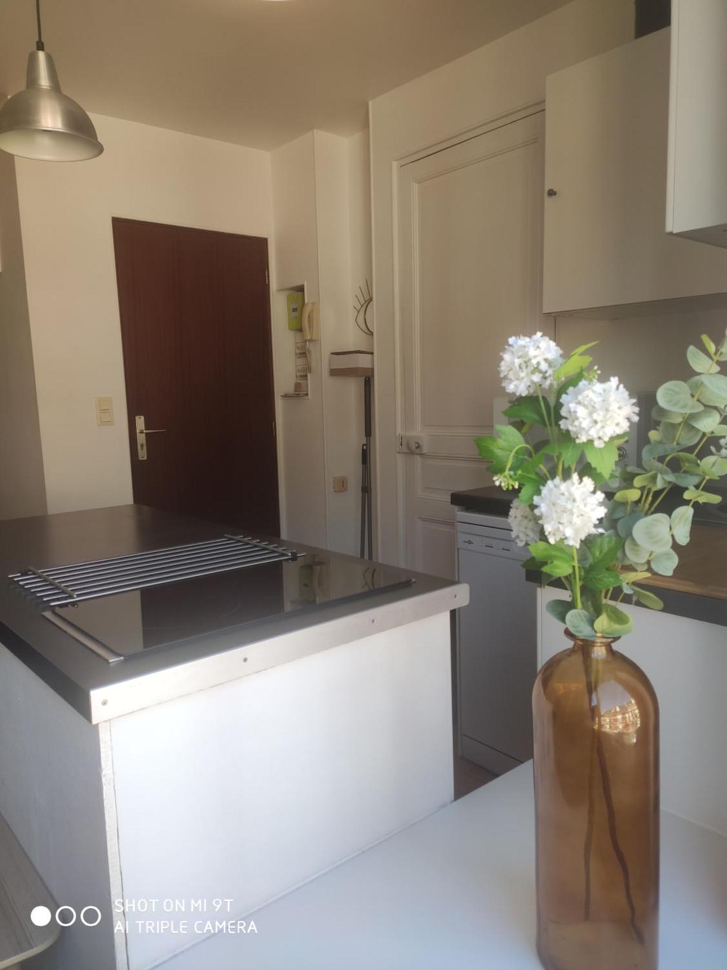 Chaleureux T2 Au Style Vintage - Rue Gratuite Appartement Amiens Buitenkant foto